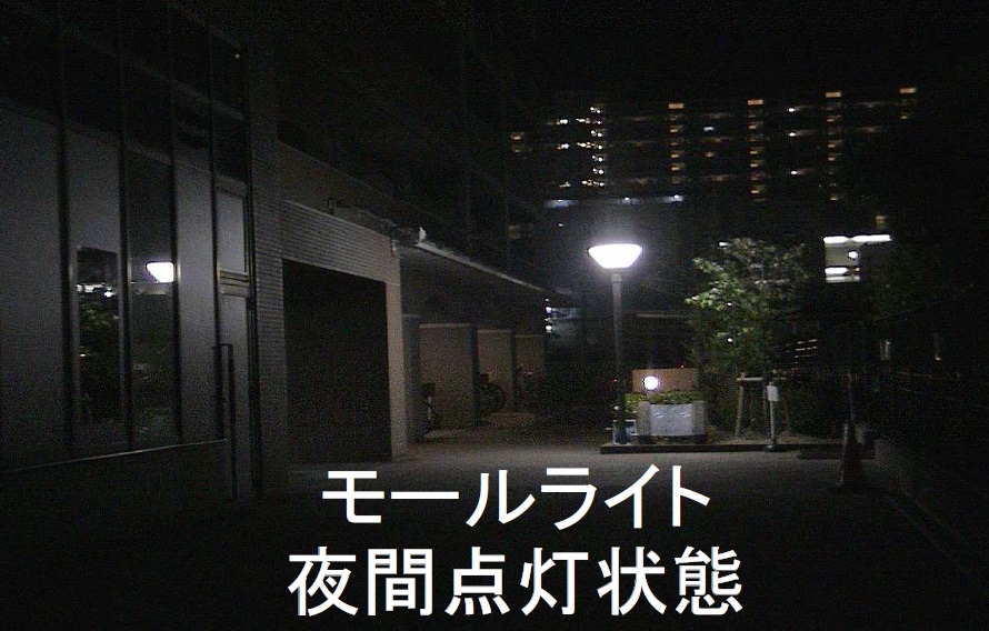 Ｙ館前モールライト夜間点灯状態